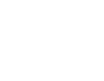 IX Collective