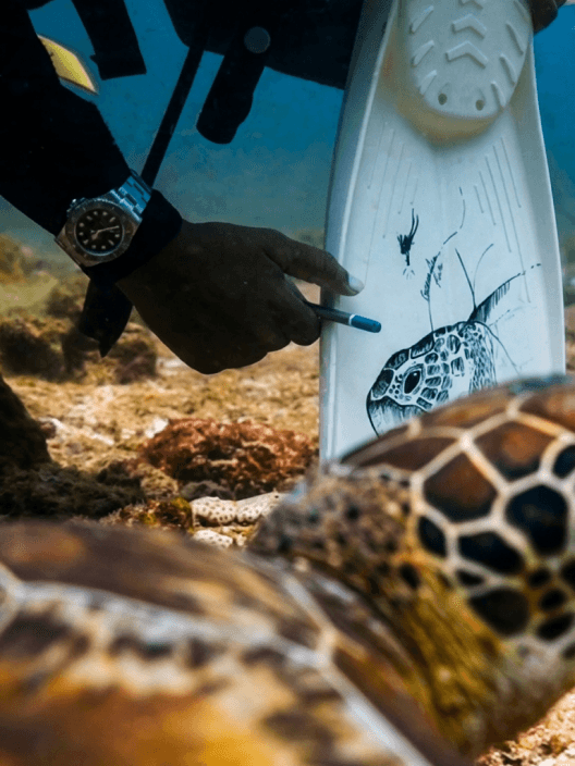 COLLECTING THE UNSEEN