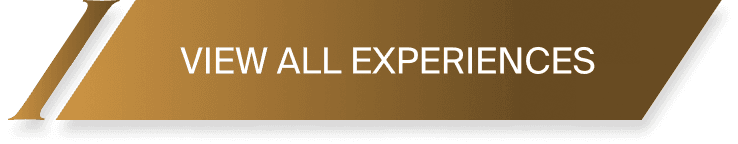 View all experiences
