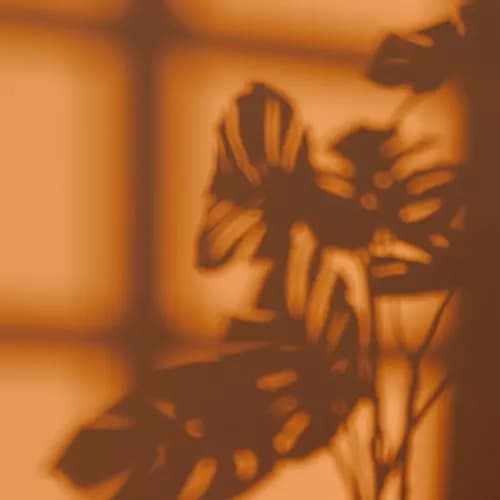 What We Do Differently